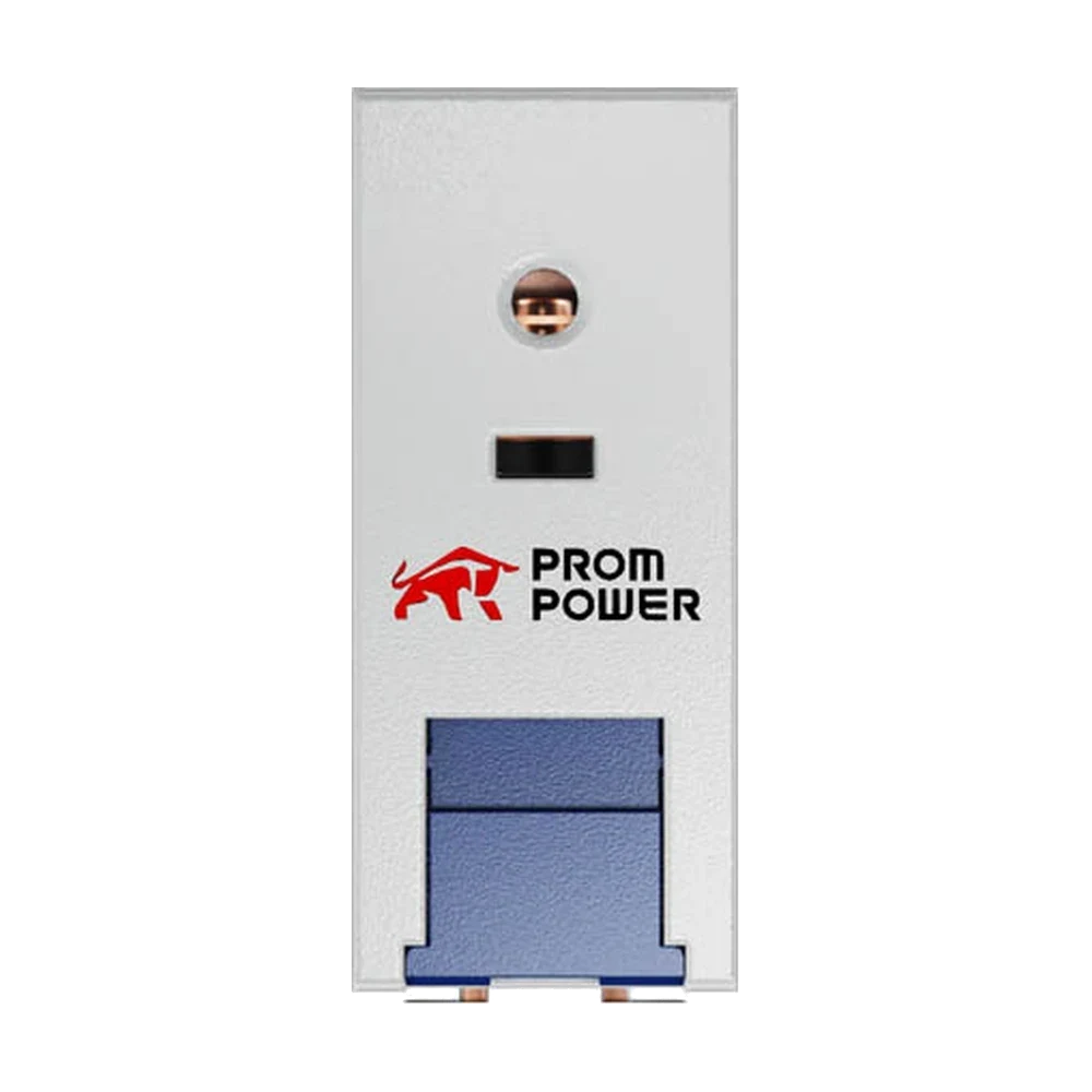 PG2R1-S DC12, вид 4